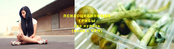 стаф Богданович