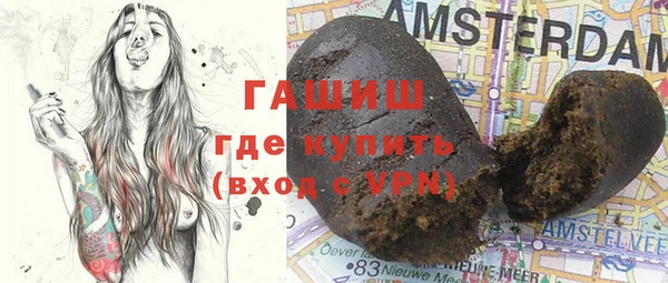 стаф Богданович