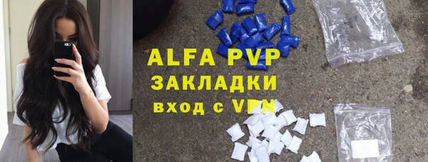 дмт Богородск