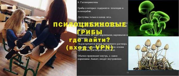 дмт Богородск