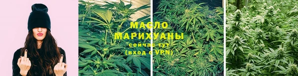 стаф Богданович