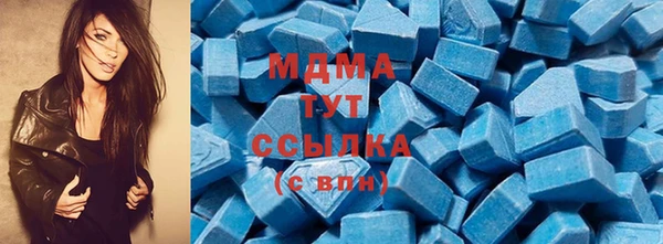 стаф Богданович