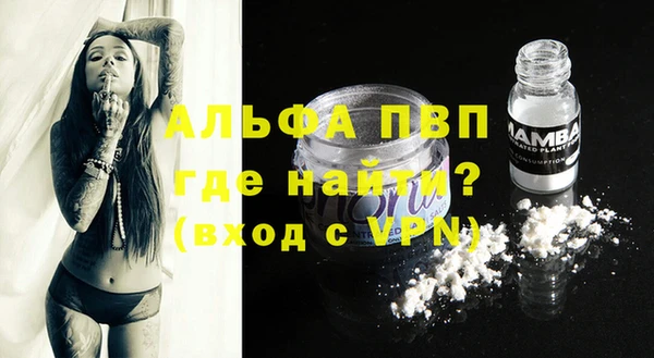 стаф Богданович