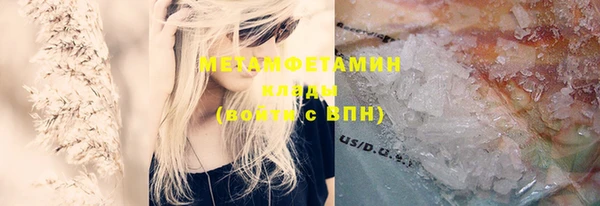 стаф Богданович