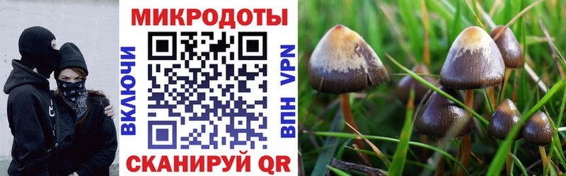 Псилоцибиновые грибы мухоморы  купить наркотики цена  MEGA tor  Среднеуральск 